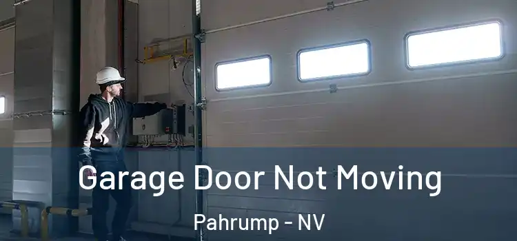  Garage Door Not Moving Pahrump - NV