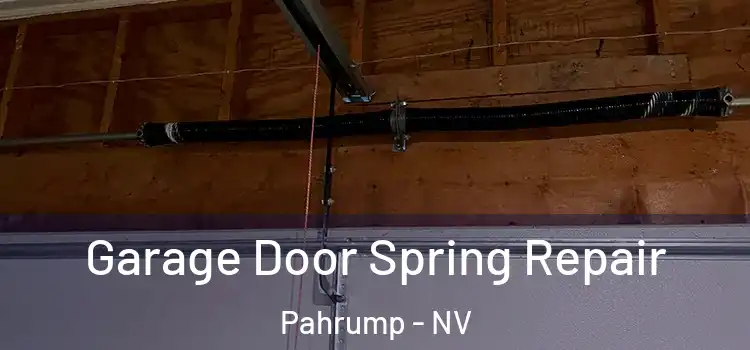  Garage Door Spring Repair Pahrump - NV