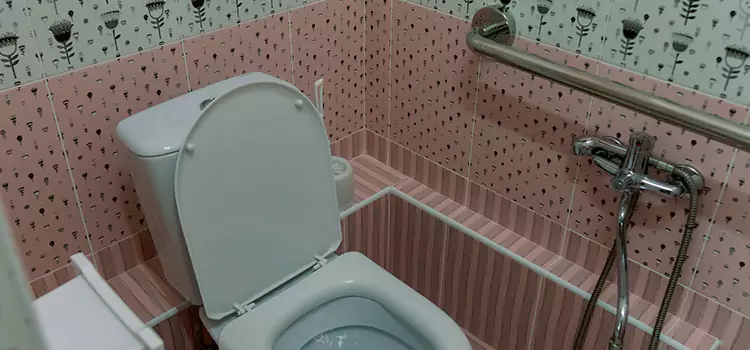 Meeting Diverse Needs With Accessible Restroom Solutions in Pahrump, NV